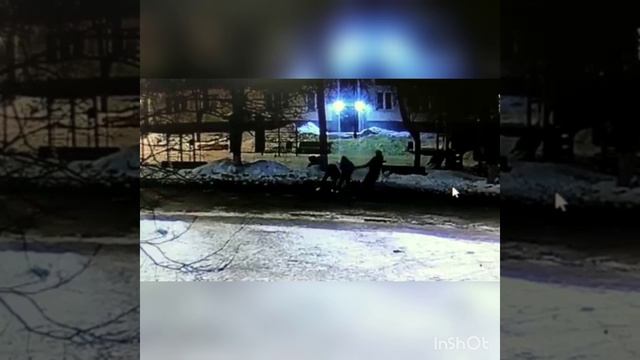 Трое мигрантов украли более 500 м проводов