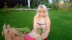 Флорист и на даче флорист!