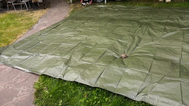 Тент полог и котики смотреть онлайн