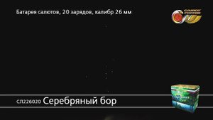 СЛ226020 Серебряный бор