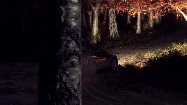 Final ERS/USA Ford Fiesta R5 MK2 смотреть онлайн