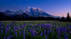 Snatam Kaur - Mother's Blessing