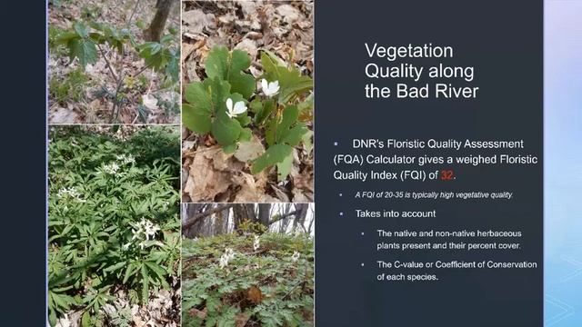 Day 2 - Spring 2021 CISMA-AIS Partnership Meeting April 14 смотреть онлайн