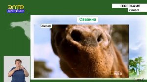 7-класс| География | Природные зоны Африки.