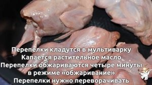 Перепелки в сметанном соусе