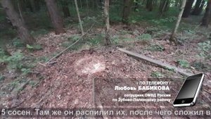 Лесной вор | Forest thief