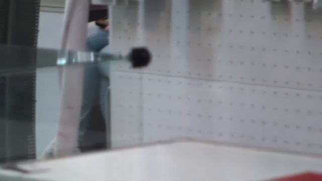 Ландшафтная архитектура. Флористика - 2012 №54 смотреть онлайн