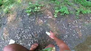 Ловля голавля в июле на реке Миус спиннингом с берега.  1 Сезон Выпуск 2