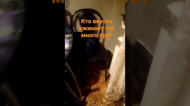 кто вкусно ужинает тот много срет