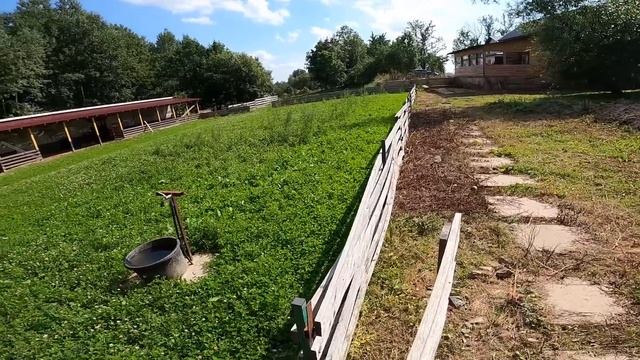 КУРИЦА ПРОТИВ СТРАУСА ! ПРИВЕЗЛИ КОРМ ! ГОТОВЛЮ СТЕЙК ! [Жизнь в деревне] смотреть онлайн