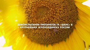 Демоиспытания препаратов для подсолнечника на полях ГК "Волго-Дон АГРОИНВЕСТ"