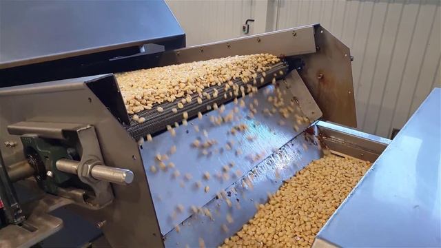 Peanut Fryring Line - Fryer Line - Fryer Machine - линия фритюрницы - фритюрница OS - 850