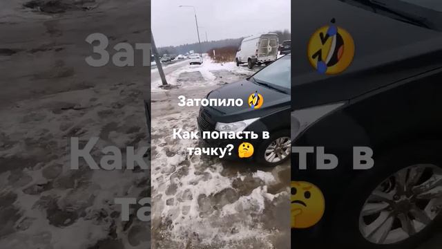 Растаял снег за ночь! 🤣