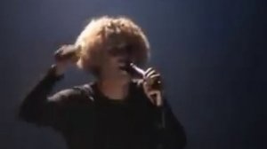 Martin Lee Gore - Never Turn Your Back On Mother Earth