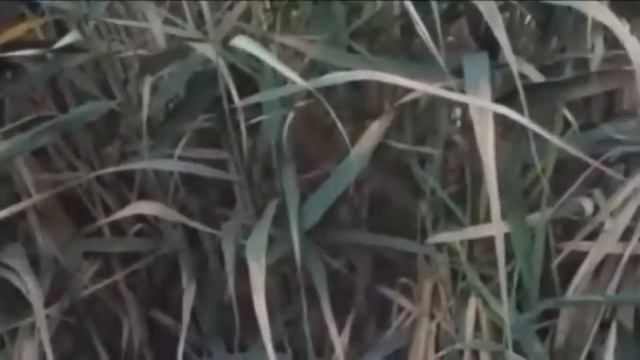 Где теряются посылки из китая смотреть онлайн