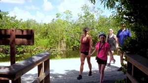 Florida Parks: Explore Everglades National Park