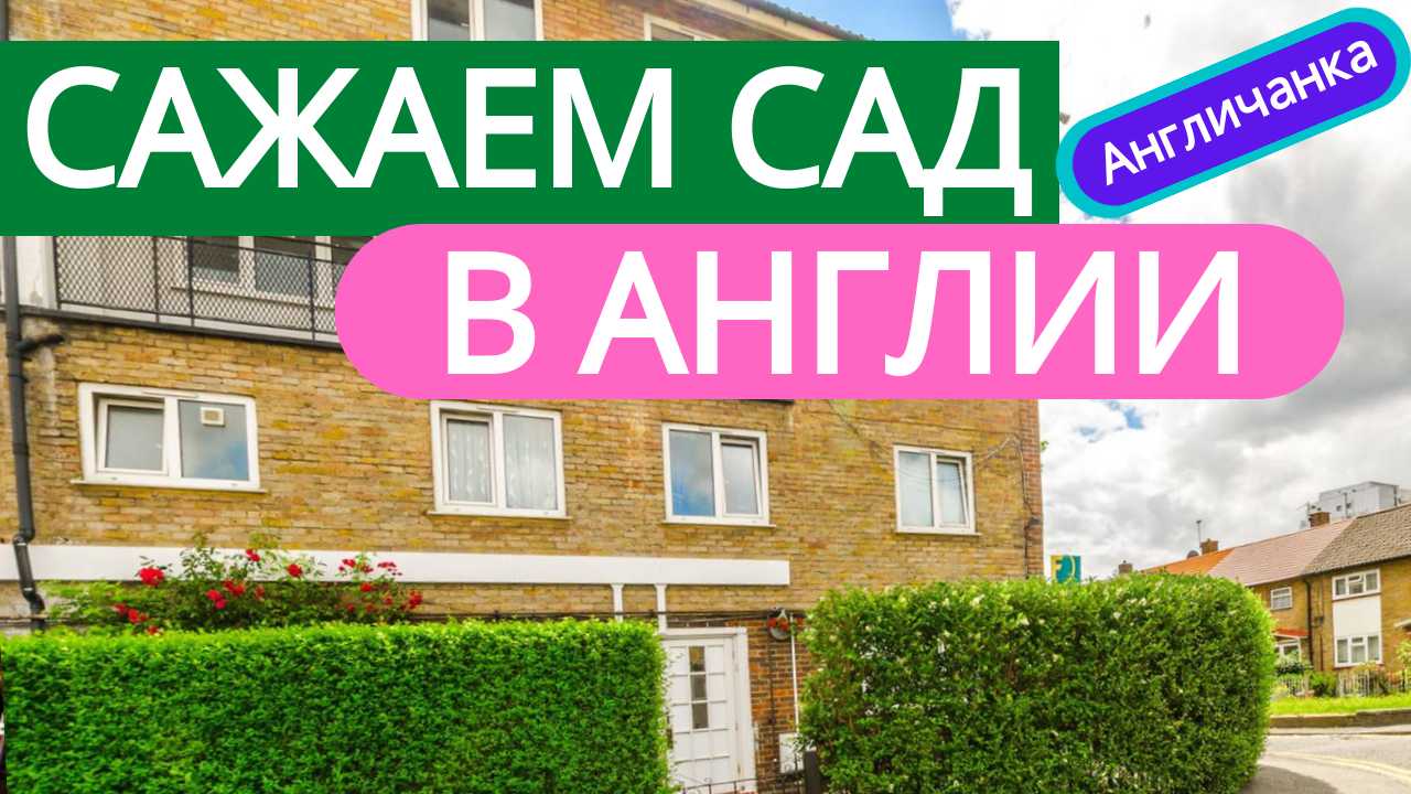 ЛОНДОН. Как мы сажали сад вокруг дома - вскрывали асфальт, ругались с соседями.