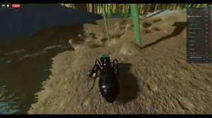 roblox ant life becoming carp queen in big server part 1