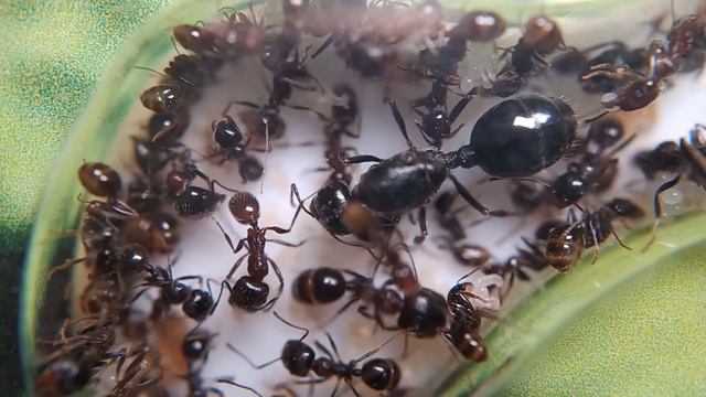 Блог #14: Наша цель – 5000+ рабочих смотреть онлайн