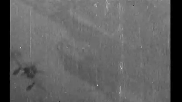 Жангари Янги Таржима Кино Узбек Тилида - Jangari Yangi Tarjima Kino Uzbek Tilida смотреть онлайн