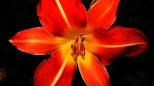 Вулкан самых крутых русских новинок для автомобиля...