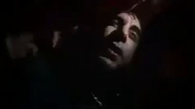 Слоновая вечеринка смотреть онлайн