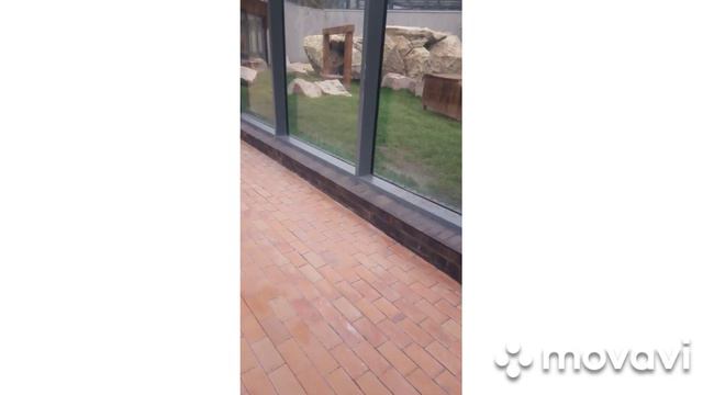 Харьковский зоопарк. Знакомство😁. Видео смотреть вертикально смотреть онлайн