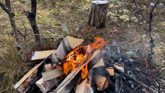 НА КАРАКАТЕ ДО ОЗЕРА. Ловлю рыбу на самодельную удочку. РЫБАЧУ В БОЛОТНЫХ ОКНАХ! смотреть онлайн