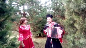 "Провожала Поля"