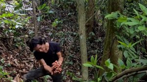 03 years of Building a complete and warm survival shelter, Survival Instinct, Wilderness Alone