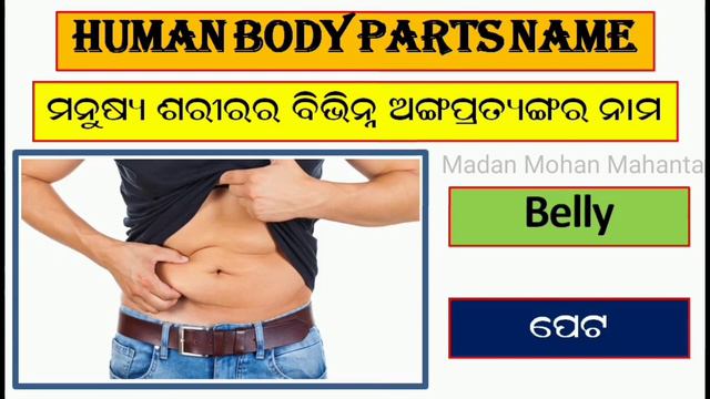 Body Parts Name in English to Odia || Body Parts Name with Pictures || Learn English through Odia 👄 смотреть онлайн