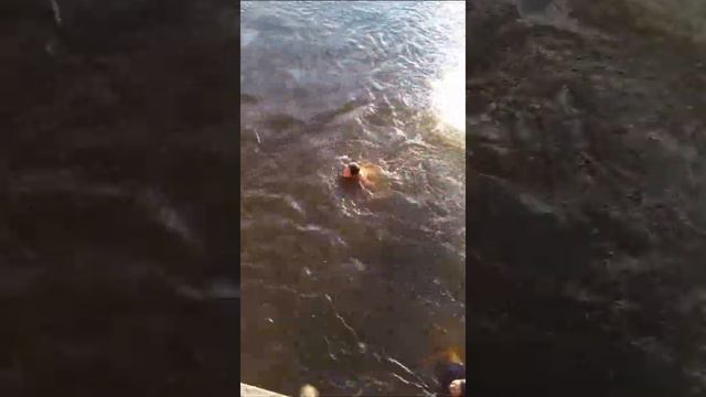 Купаются на речке в сентябре смотреть онлайн