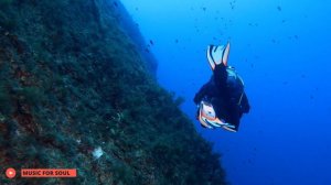 Ocean journey/путешествие по океану