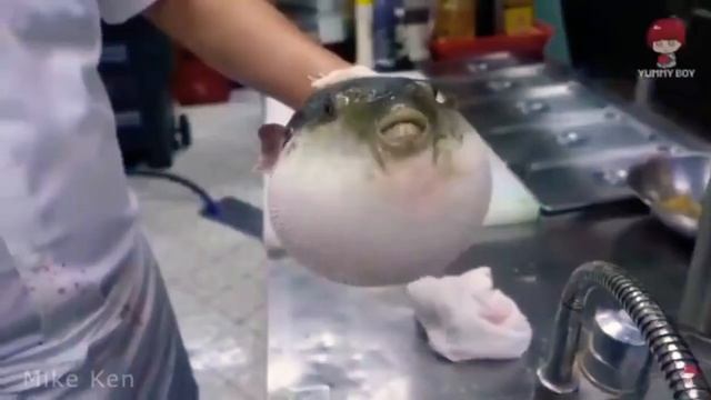 МЕМ ПРО РЫБУ ФУГУ. смотреть онлайн