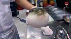 МЕМ ПРО РЫБУ ФУГУ.