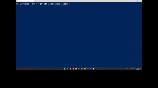 Anypoint Runtime Fabric on Self-Managed Kubernetes смотреть онлайн