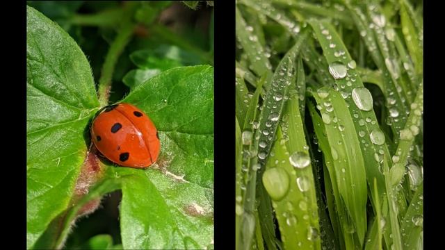 Xiaomi Mi 9T в 2022 году. Красивая безделушка или топовая прошивная игрушка? смотреть онлайн