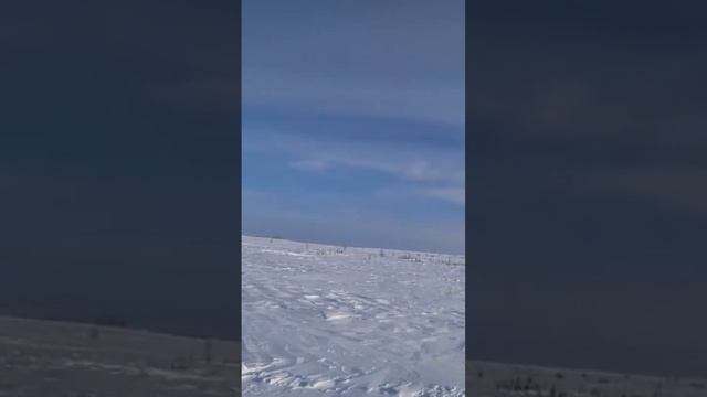 Арктический пустыни. Пустоши в Арктике. Россия. Arctic desert.  Wastelands in the Arctic.  Russia.