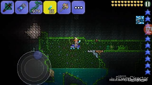 Как получить Хлорофит,Плантера и Фрукт жизни