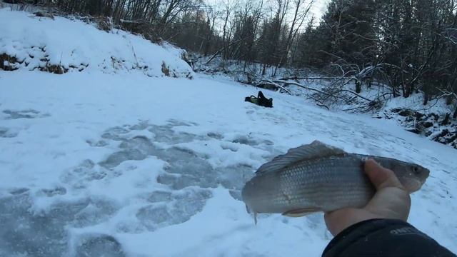 Крупный хариус на муху в лютый мороз.Главное-стратегия. смотреть онлайн