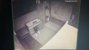 ПРИВЁЛ ДЕВУШКУ НА КВЕСТ! (Нарезка лучших моментов)