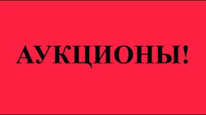 ОБЗОР ТЕОРИИ АУКЦИОНОВ. ЛЕКЦИЯ В МАЙКОПЕ В САМОМ НАЧАЛЕ СЕНТЯБРЯ. Я ЛАЖАНУЛ ТАМ В ОДНОМ МЕСТЕ!