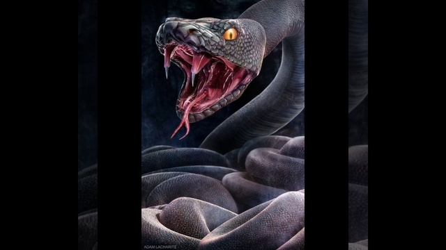 о̠п̠а̠с̠н̠о̠с̠т̠ь̠!!! ??