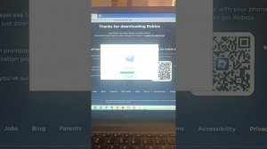 что делать если роблокс вылетает?