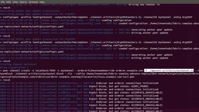 Setting Up Hyperledger Fabric Network v2.2 смотреть онлайн