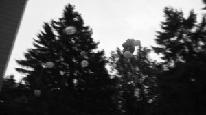 Sdobby production. Алексей Паперный "Скажи легко"