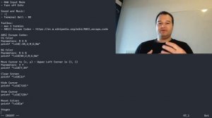 Linux Terminal Game from Scratch I - Termios, ANSI Escape Codes
