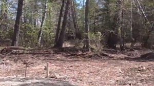 Разметка свайного поля...Наш дом...так мы начинали...