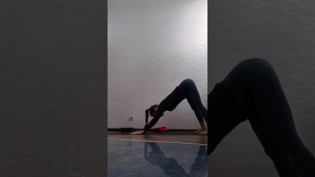 Прогини. Витягнення фронтальної лінії тіла