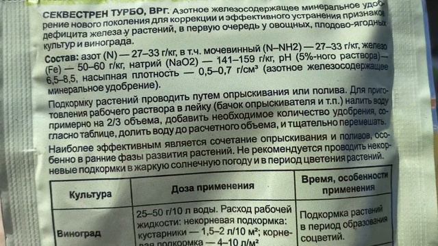 Миф о прищипке королевской пеларгонии для придания кусту шаровидной формы смотреть онлайн